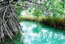 Sian Ka'an Biosphere